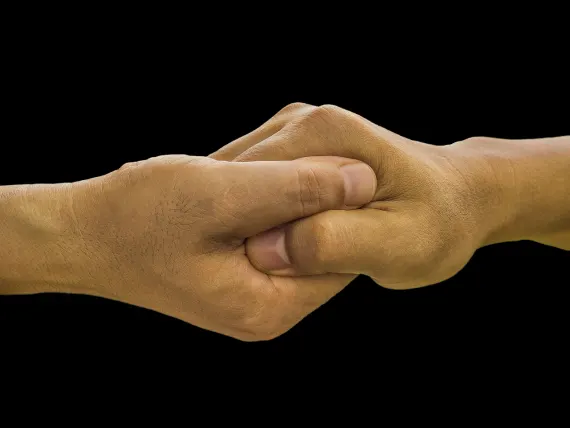 BlueFox Kasino Podpora